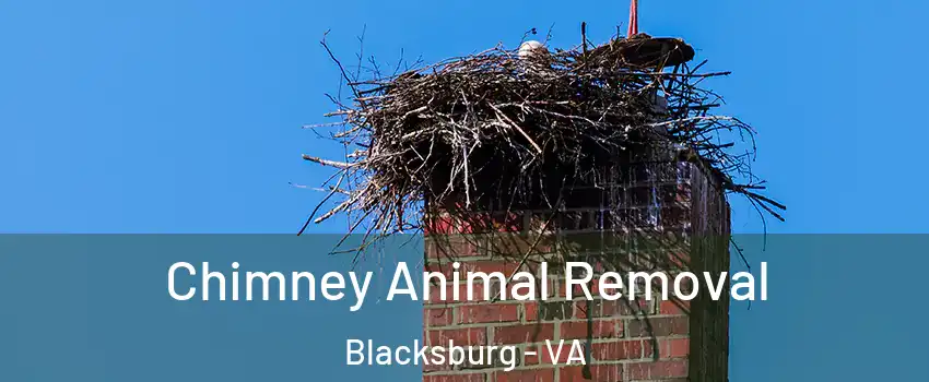 Chimney Animal Removal Blacksburg - VA