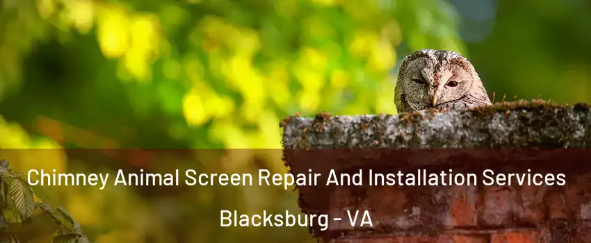  Chimney Animal Screen Repair And Installation Services Blacksburg - VA