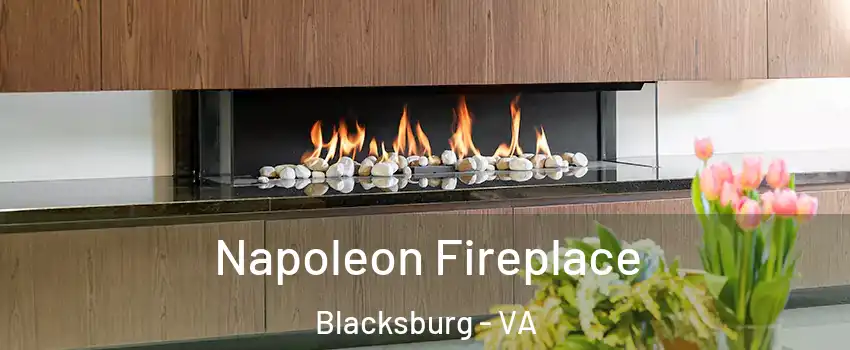  Napoleon Fireplace Blacksburg - VA